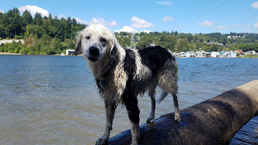 Park «Sellwood Park», reviews and photos, SE Miller St & SE 7th Ave, Portland, OR 97202, USA