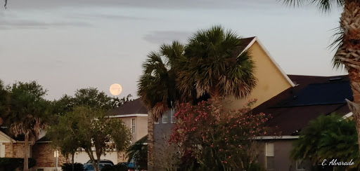 Golf Club «Oaks National Golf Club», reviews and photos, 1500 The Oaks Blvd, Kissimmee, FL 34746, USA