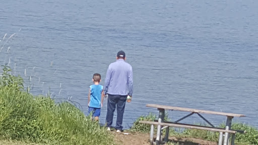 Nature Preserve «Pulaski Woods East», reviews and photos, 9600 Wolf Rd, Willow Springs, IL 60480, USA