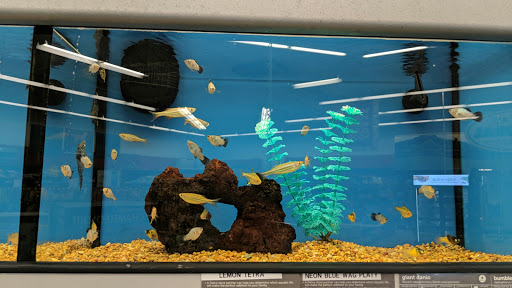 Pet Supply Store «Petco Animal Supplies», reviews and photos, 742 New Los Angeles Ave a, Moorpark, CA 93021, USA