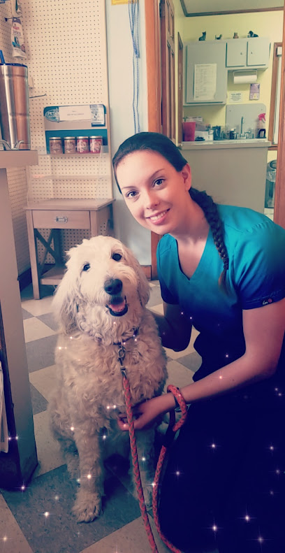 Anastasia Veterinary Practice