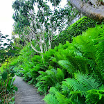Photo n° 2 de l'avis de Angel'. fait le 15/06/2021 à 19:15 pour Jardin de Berchigranges à Granges-Aumontzey