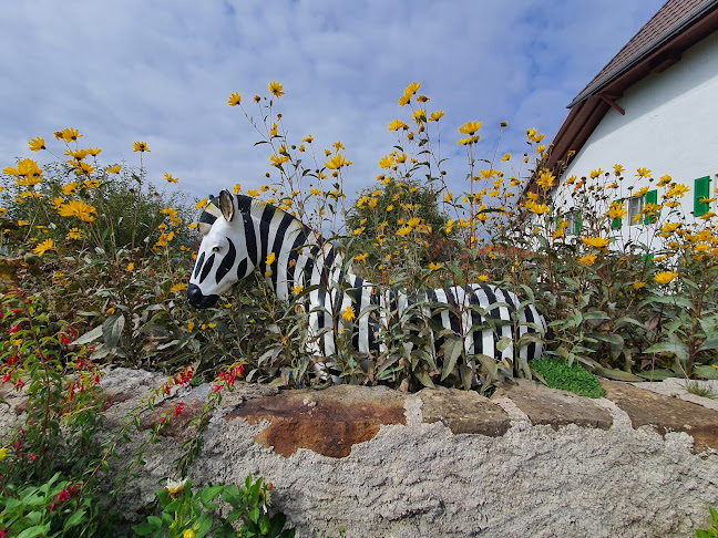 Rezensionen über Zebra Fashion Store Nyon in Nyon - Bekleidungsgeschäft