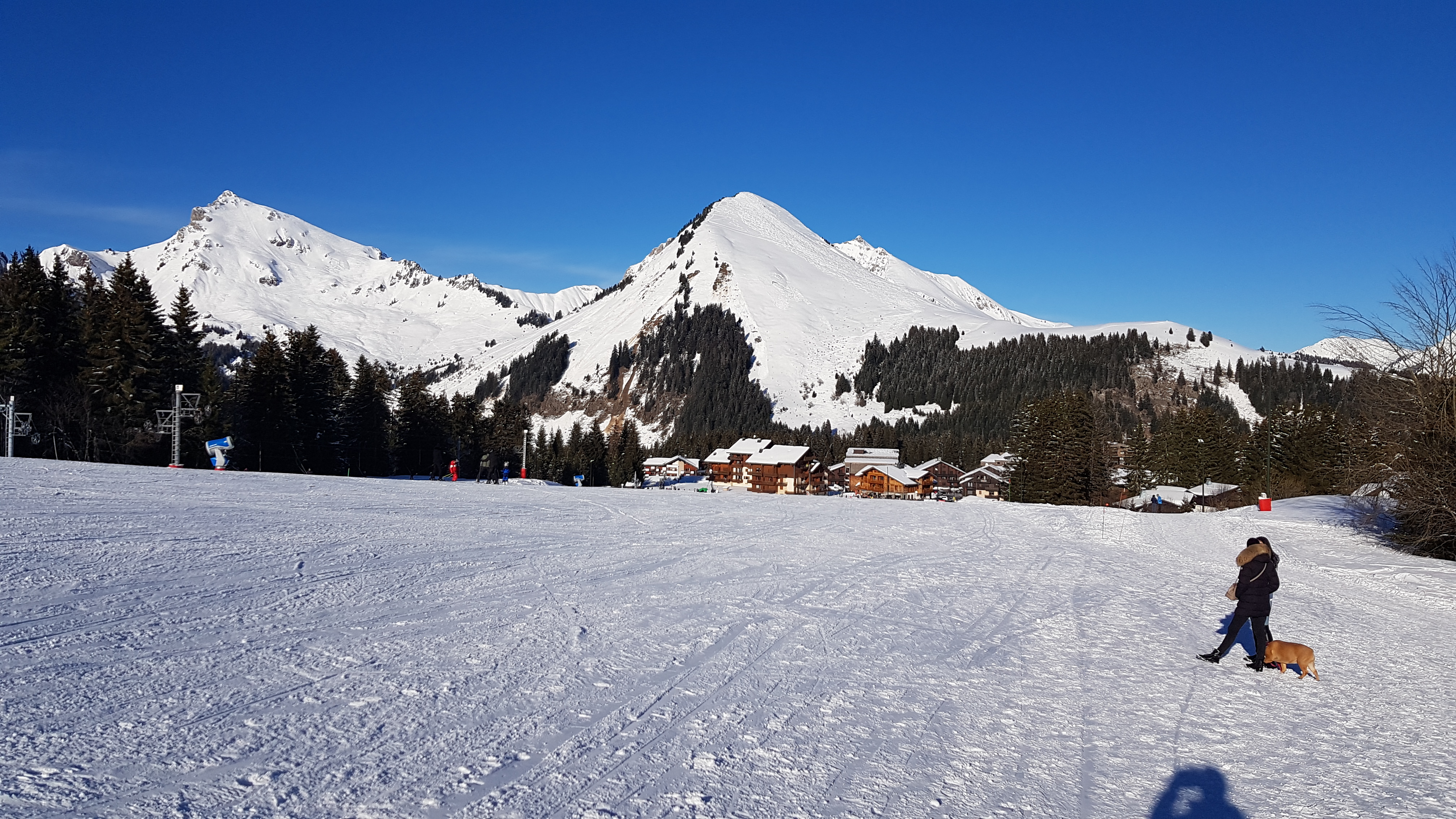 Photo n° 17 de l'avis de Marc.y fait le 31/01/2024 à 11:07