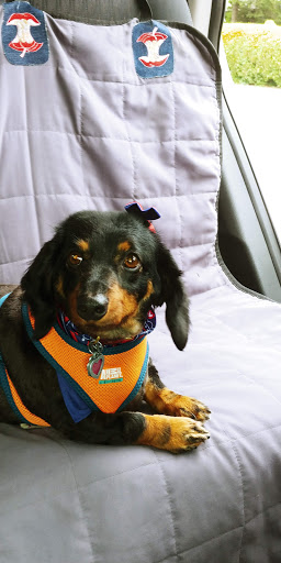 Pet Supply Store «PetSmart», reviews and photos, 1600 Marcus Ave, New Hyde Park, NY 11040, USA