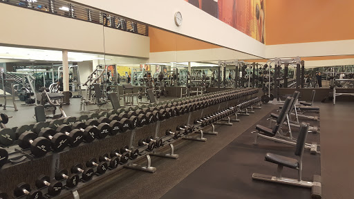 Gym «City Sports Club», reviews and photos, 2401 Whipple Rd, Hayward, CA 94544, USA