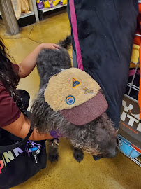 PetSmart - Photo 6 - Car repair in McAllen, TX, McAllen