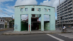 Novo Mundo Cell