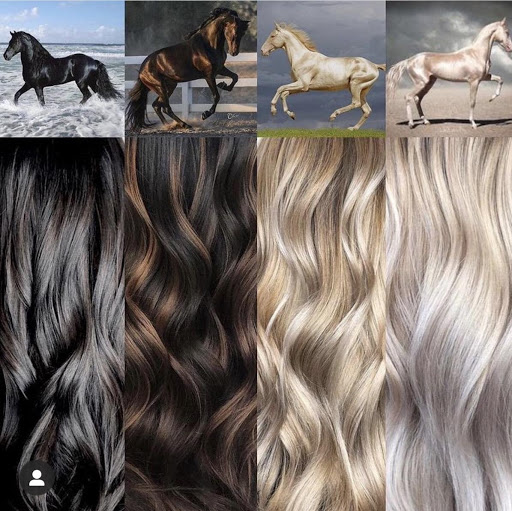 Hair Salon «GP Hair Salon & Day Spa», reviews and photos, 2711 Coney Island Ave, Brooklyn, NY 11235, USA