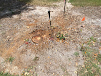 Gerald's Tree Services - Photo 6 - Car repair in , Bonita Springs