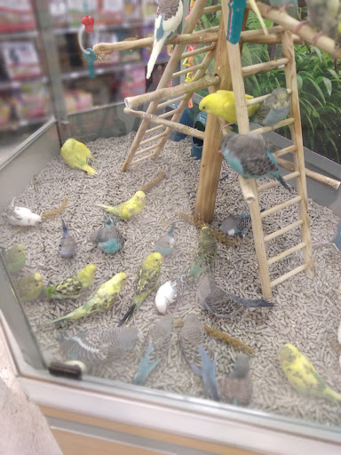 Pet Supply Store «Petco Animal Supplies», reviews and photos, 1610 Avenue Y, Brooklyn, NY 11235, USA