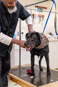 The Pet Salon - Photo 4 - Car repair in Pittsburgh, PA, Pittsburgh