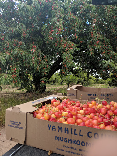 Produce Market «B&P Hitz Fruit Farm (Apples N Produce)», reviews and photos, 14070 Wilco Hwy NE, Woodburn, OR 97071, USA