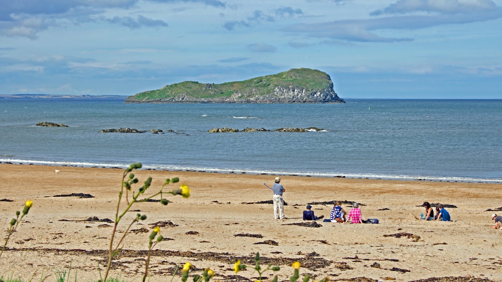 Fotografie cu West Bay Beach zonă sălbatică