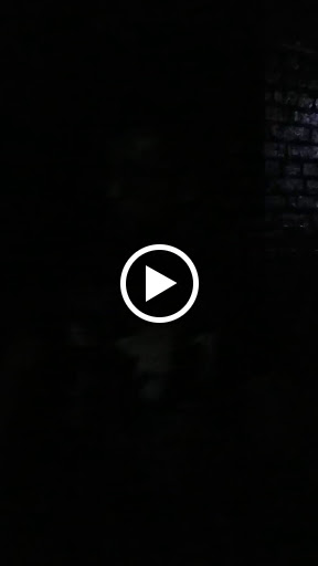 Night Club «The Pyramid Club», reviews and photos, 101 Avenue A #1, New York, NY 10009, USA