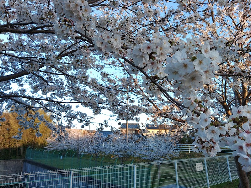 北町さくらの杜公園