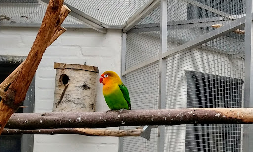 Vogelpark Heiden unter Heiden, 