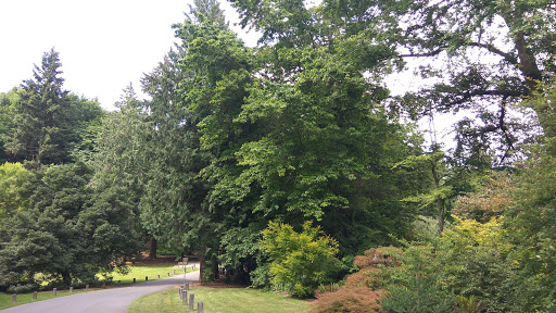 Public Golf Course «Walter Hall Golf Course», reviews and photos, 1226 W Casino Rd, Everett, WA 98204, USA