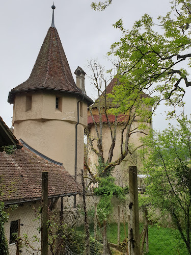 Schloss Wildenstein - Museum