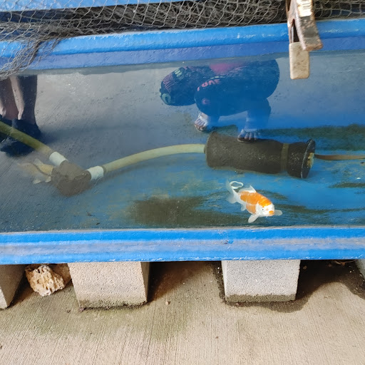 Aquarium «Tennessee Water Gardens», reviews and photos, 6410 Papermill Dr NW, Knoxville, TN 37919, USA