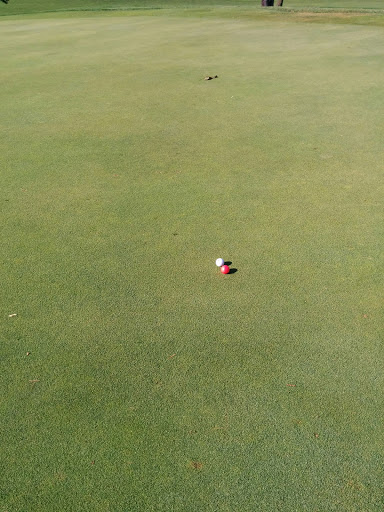 Golf Course «Brookwood Golf Course», reviews and photos, 1339 Rynearson St, Buchanan, MI 49107, USA