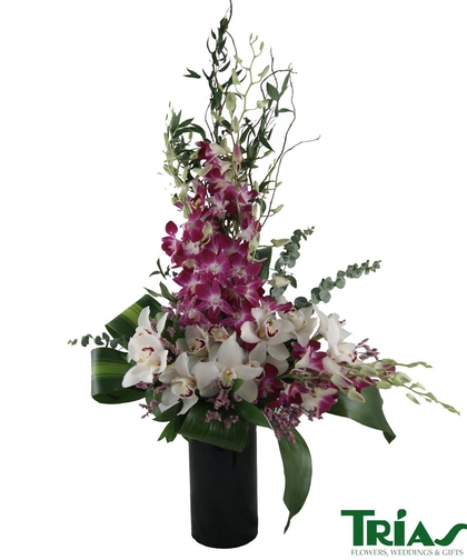 Florist «Trias Flowers & Gifts», reviews and photos, 6520 SW 40th St, Miami, FL 33155, USA