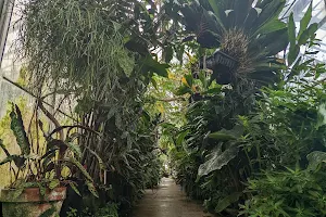 UC Davis Botanical Conservatory image