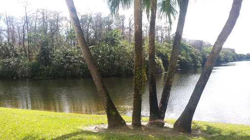 Performing Arts Theater «The Township Community Master Association Inc», reviews and photos, 2452 Lyons Rd, Pompano Beach, FL 33063, USA