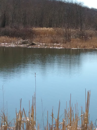 Ski Resort «Shawnee Mountain Ski Area», reviews and photos, 401 Hollow Rd, East Stroudsburg, PA 18301, USA