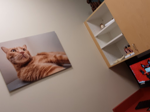 Primary Care Animal Hospital image
