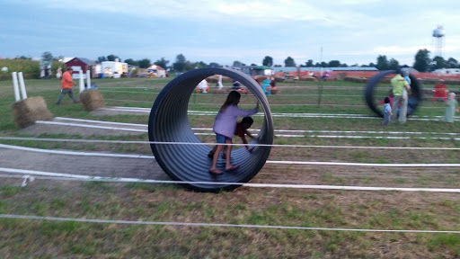 Tourist Attraction «Shipshewana Corn Maze», reviews and photos, 505 Morton St, Shipshewana, IN 46565, USA