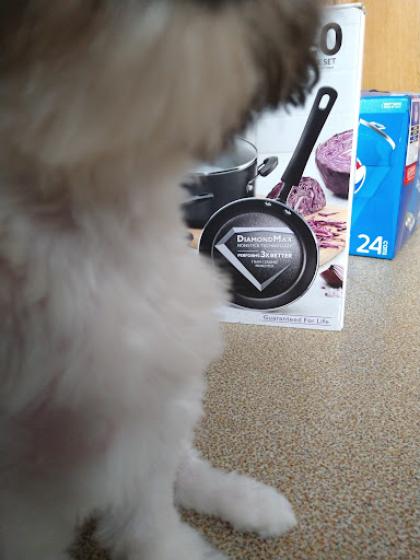 Pet Supply Store «Petco Animal Supplies», reviews and photos, 3480 Wilkes Barre Blvd, Wilkes-Barre, PA 18702, USA