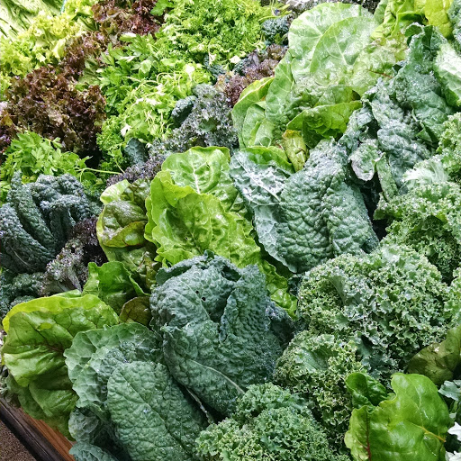 Grocery Store «Placerville Natural Foods Cooperative», reviews and photos, 535 Placerville Dr, Placerville, CA 95667, USA