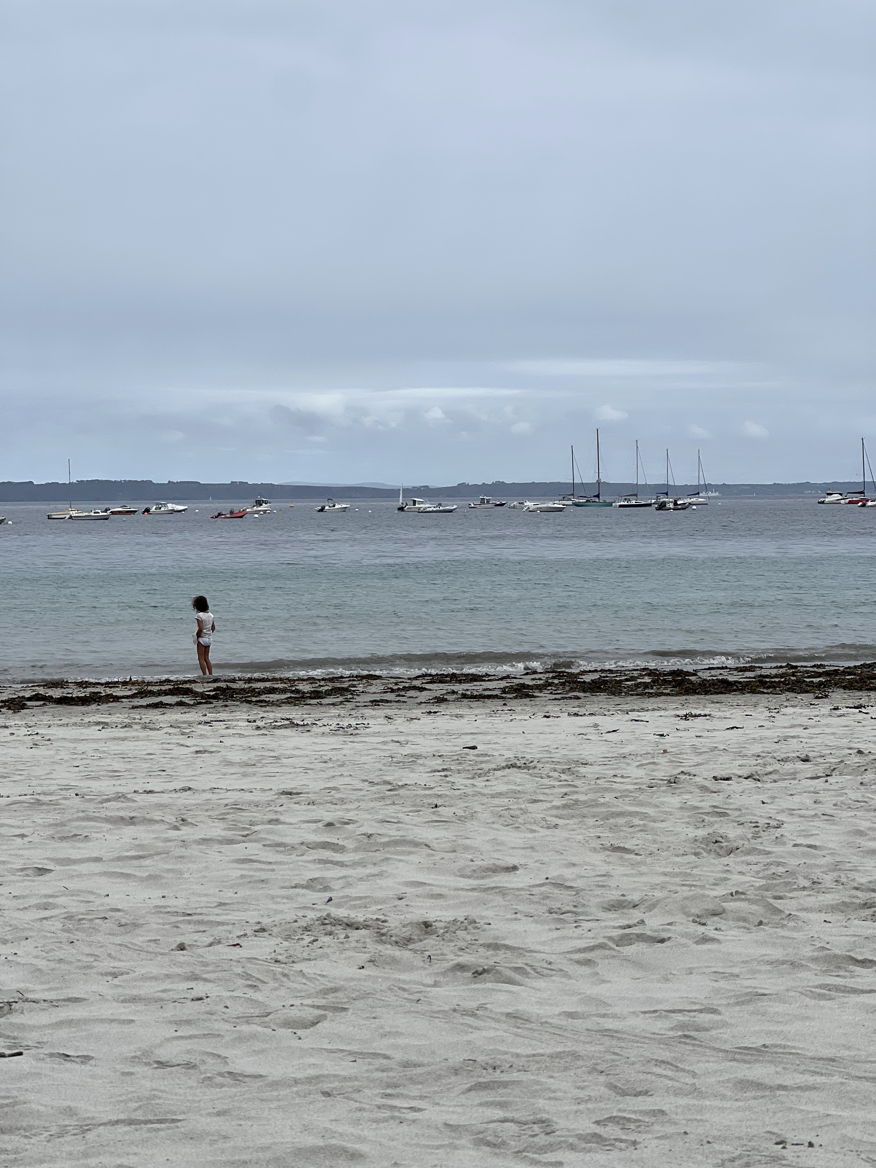 Photo n° 1 de l'avis de Cros.� fait le 23/08/2022 à 18:32