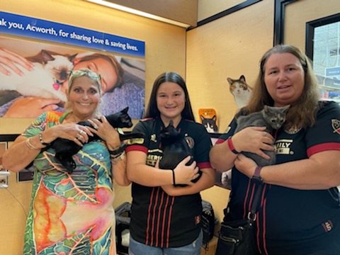 Pet Supply Store «PetSmart», reviews and photos, 3335 Cobb Pkwy NW #400, Acworth, GA 30101, USA