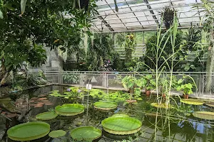 Botanical Garden image