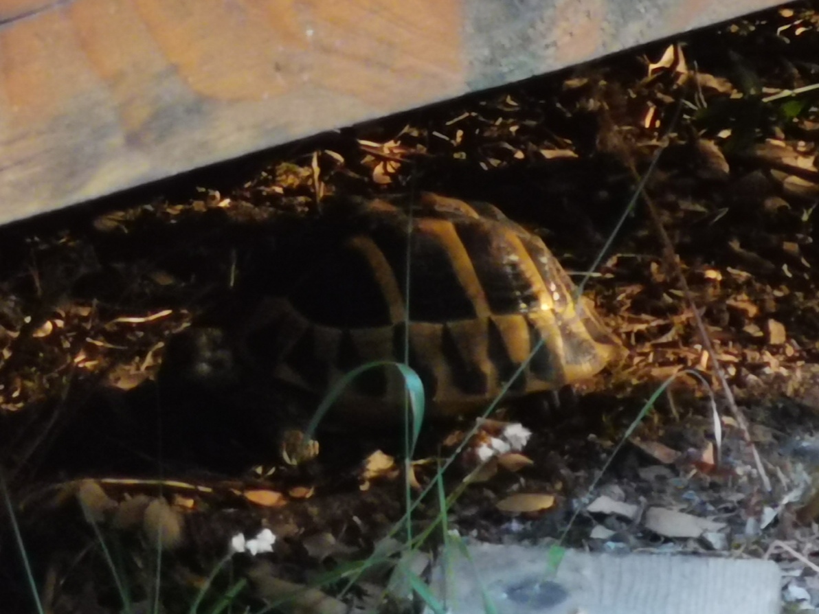 Photo n° 5 de l'avis de E. fait le 26/07/2019 à 20:23