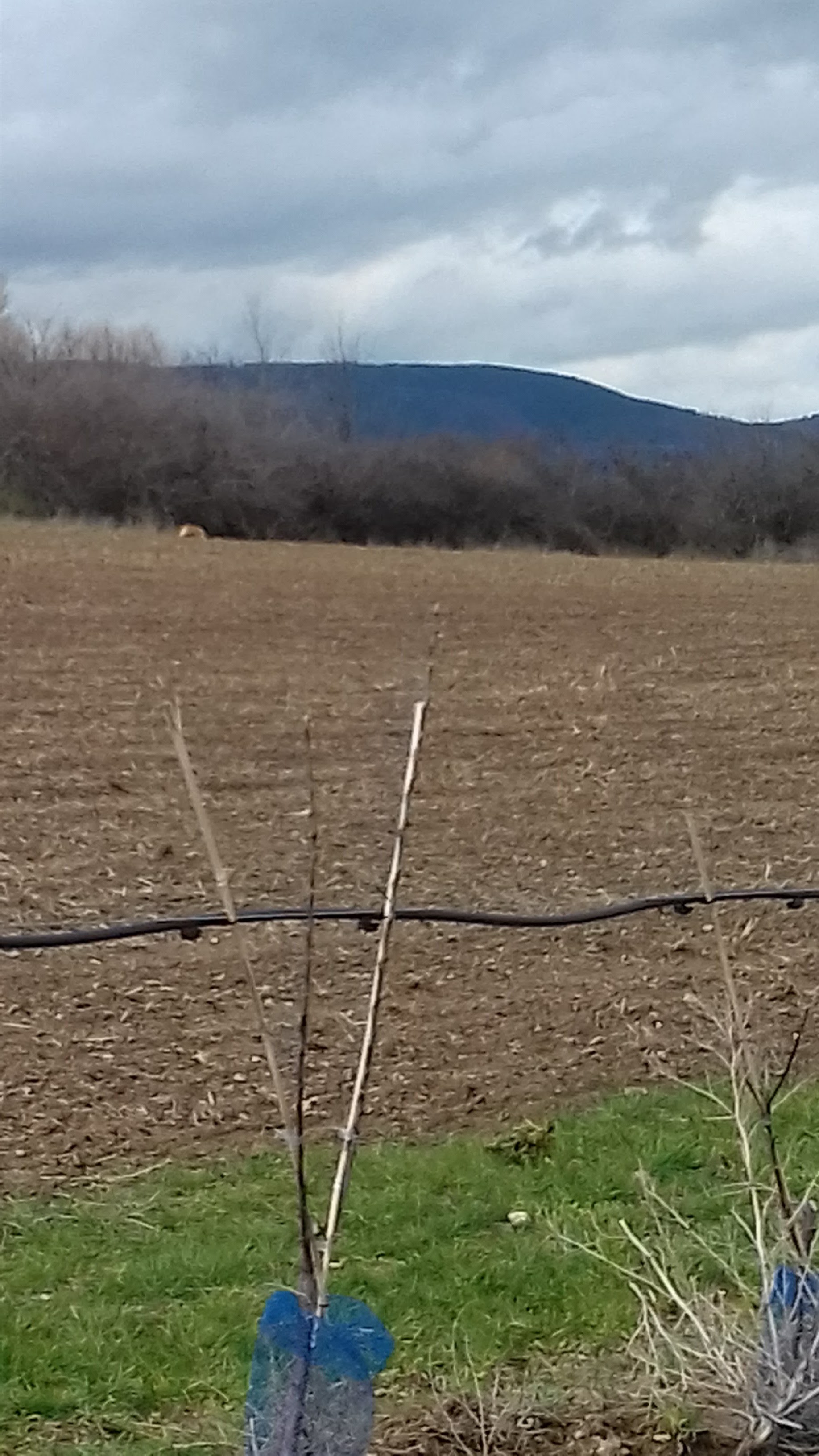 Photo n° 2 de l'avis de Mxtth.. fait le 25/03/2018 à 12:45