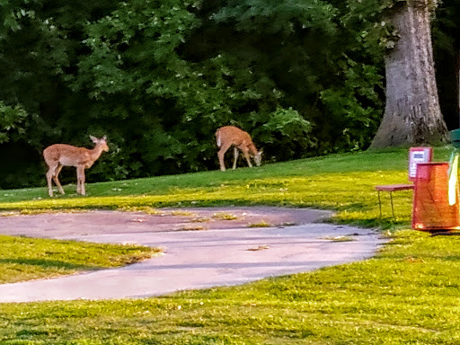 Golf Course «Woodland Hills Golf Course», reviews and photos, 620 NE 66th Ave, Des Moines, IA 50313, USA