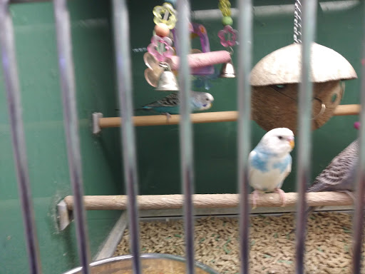 Pet Supply Store «Pet Club Santa Rosa», reviews and photos, 1935 Santa Rosa Ave, Santa Rosa, CA 95407, USA