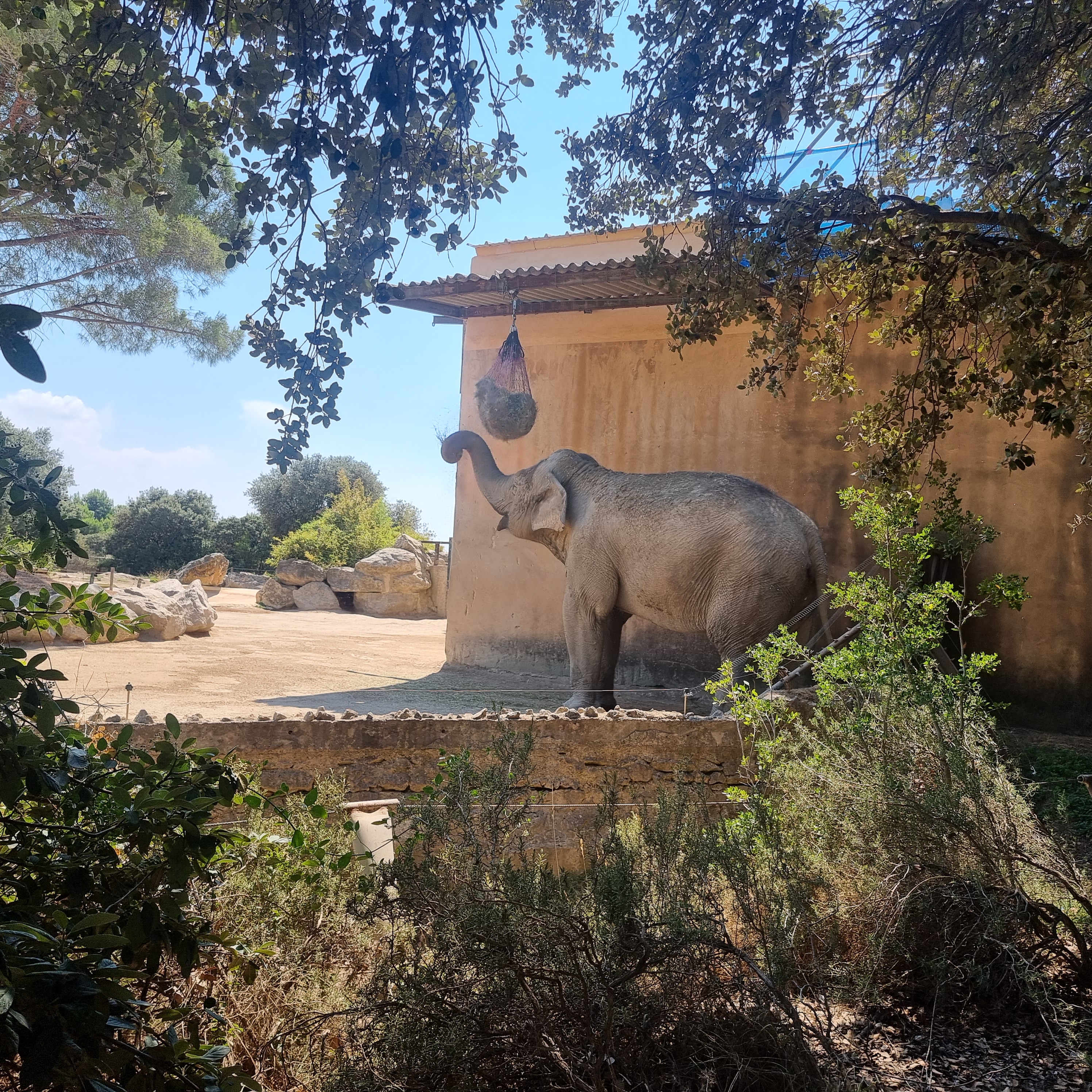 Photo n° 13 de l'avis de Estelle.i fait le 11/08/2022 à 20:52