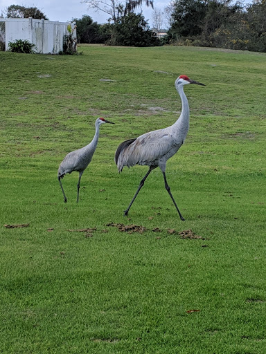 Golf Course «Willowbrook Golf Course», reviews and photos, 4200 FL-544, Winter Haven, FL 33881, USA