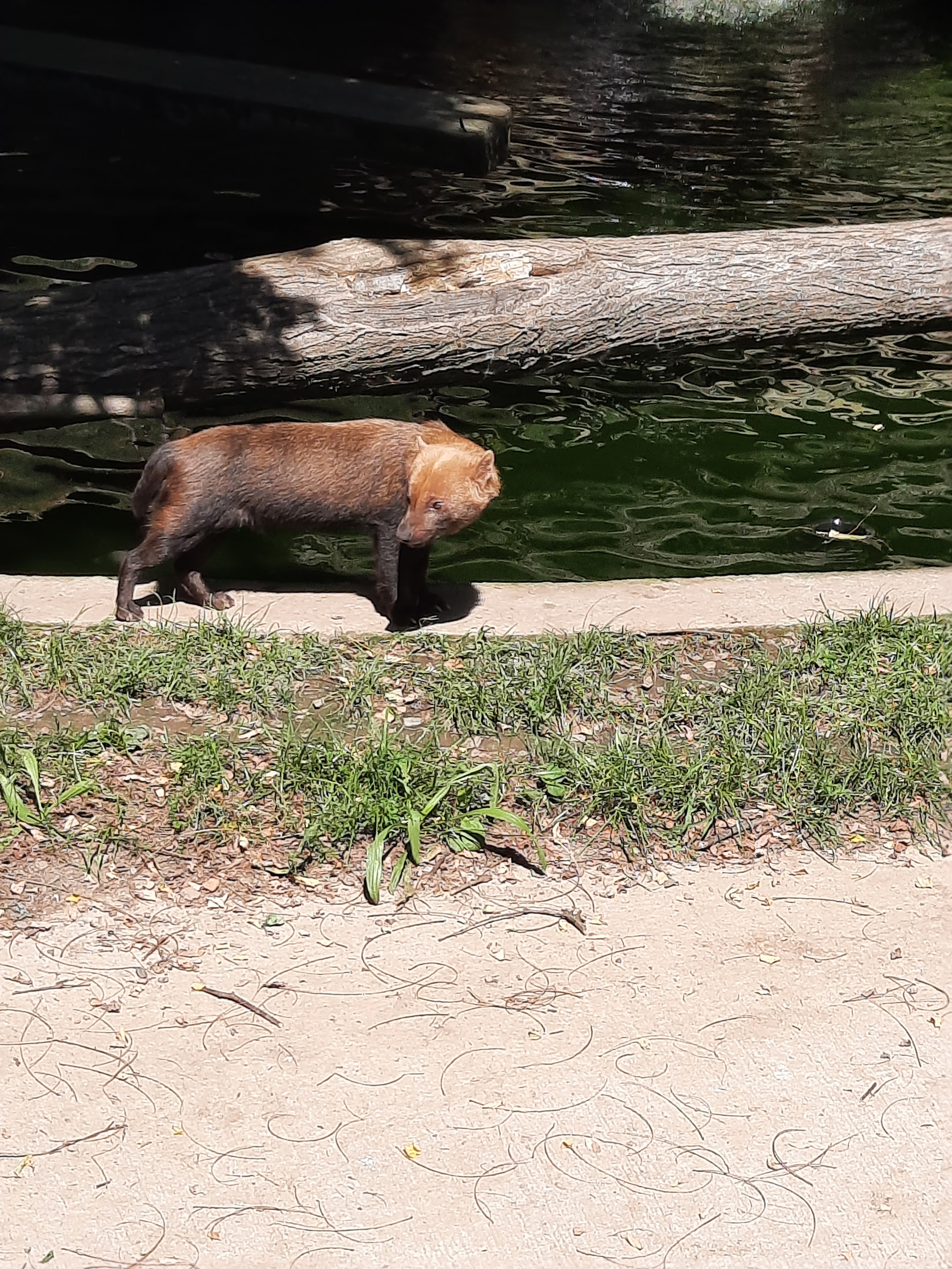 Photo n° 7 de l'avis de Gwen.i fait le 08/08/2023 à 13:19