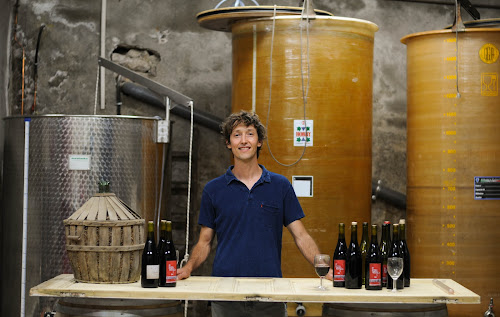 Le vin des Gafarots à Saint-Pierre-des-Champs
