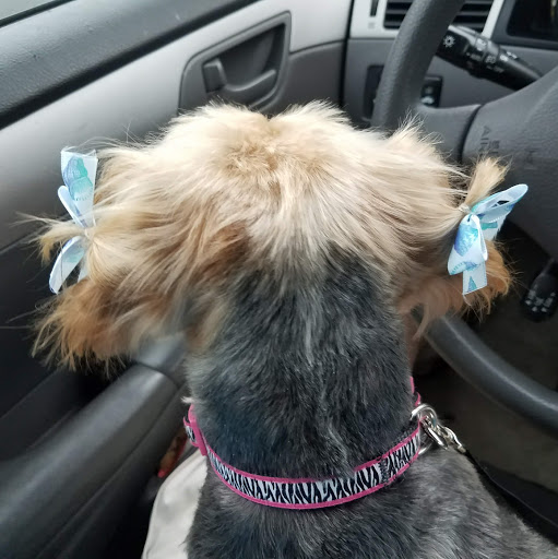 Pet Supply Store «PetSmart», reviews and photos, 637 Woodbury Glassboro Rd, Sewell, NJ 08080, USA