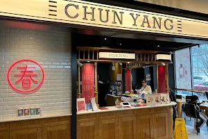 Chun Yang Tea Flushing image