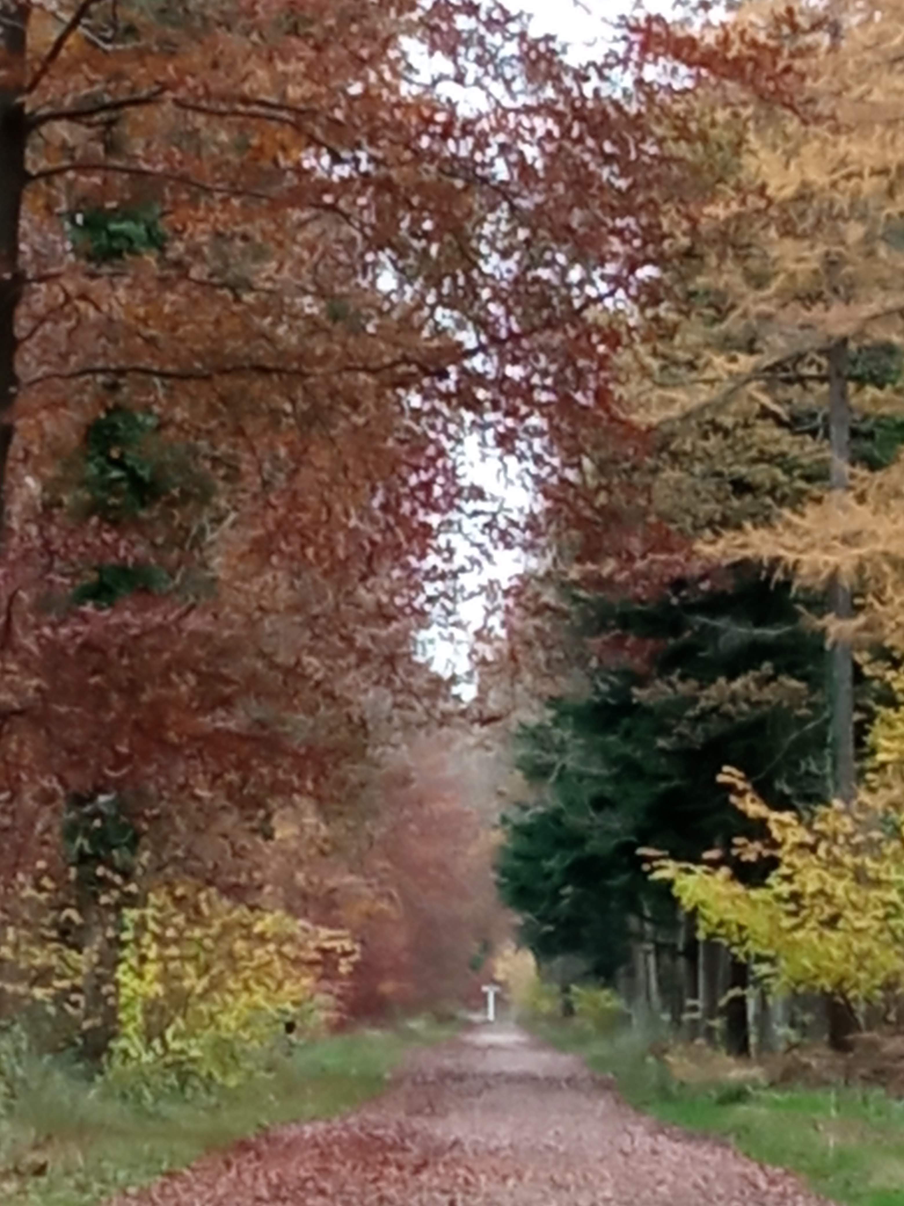 Photo n° 6 de l'avis de marieFrancois.y fait le 26/11/2021 à 20:19