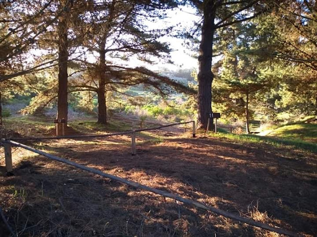 Rancho Lobos - Camping