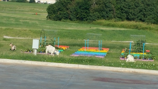 Non-Profit Organization «Regional Food Bank of Oklahoma», reviews and photos