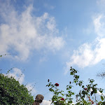 Photo n°4 de l'avis de Evgeniya.o fait le 27/08/2022 à 10:40 sur le  Ravello view à Scala